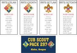 Cub Scout Banner
